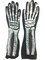 Adults Undead Skeleton Exposed Rotted Flesh Gloves Costume Accessory